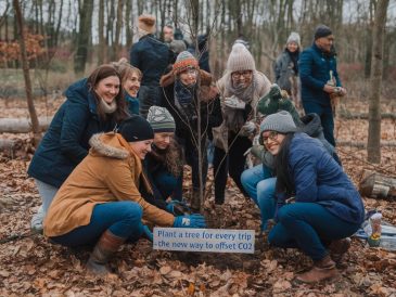 Piantare un albero per ogni viaggio: il nuovo modo di compensare la CO2