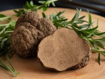 Il tartufo bianco d'italia: un tesoro culinario da scoprire